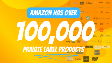 Amazon private label brands