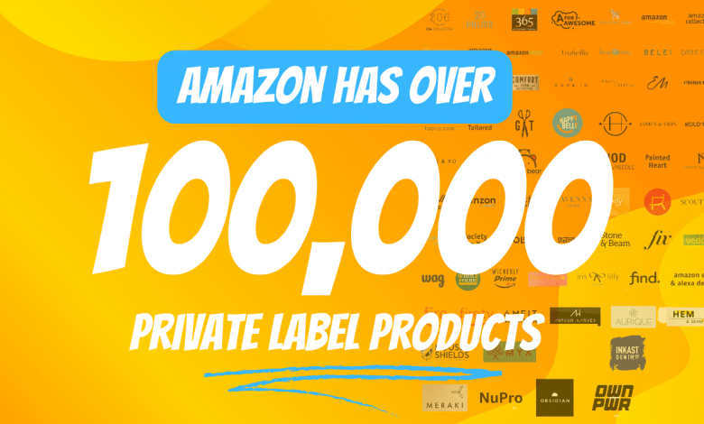 Amazon private label brands