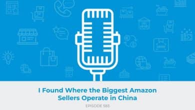 E583: I Found Where the Biggest Amazon Sellers Operate in China