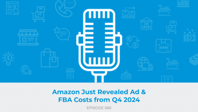 E586: Amazon Just Revealed Ad & FBA Costs from Q4 2024